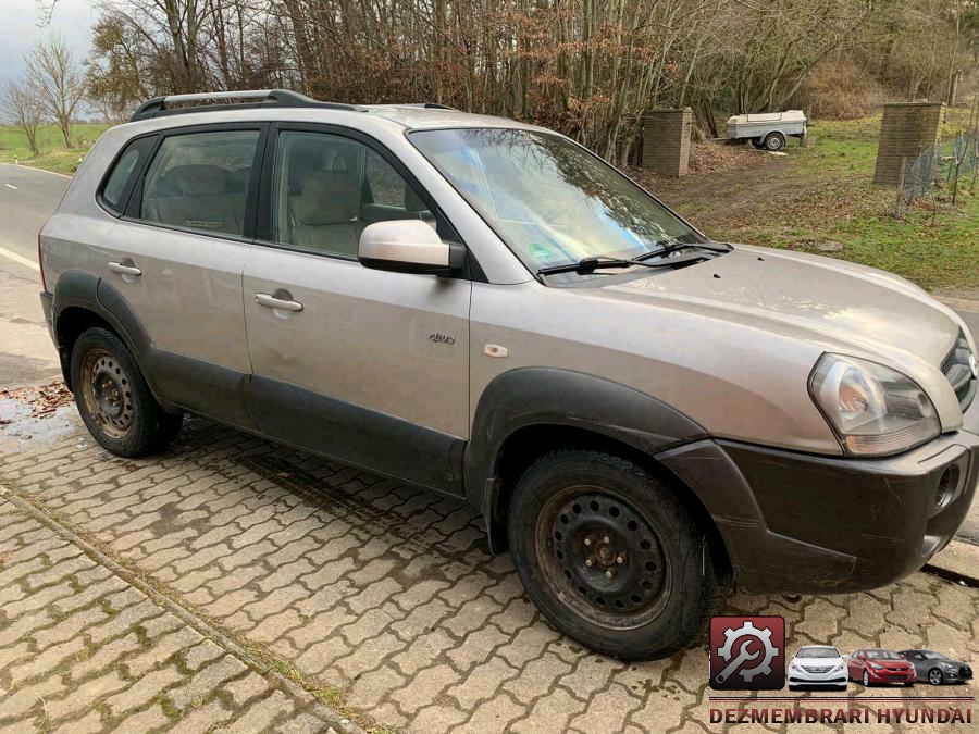 Semnalizari spate hyundai tucson 2005